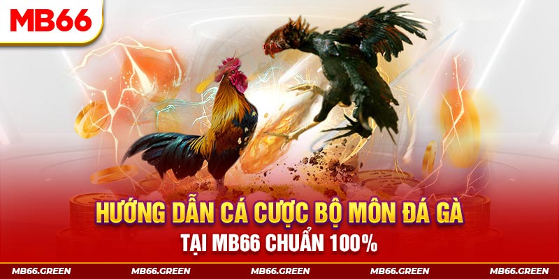 vnz66 slot là gi