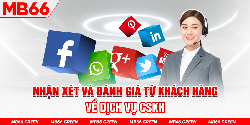 vnz66 đá gà thomo 67