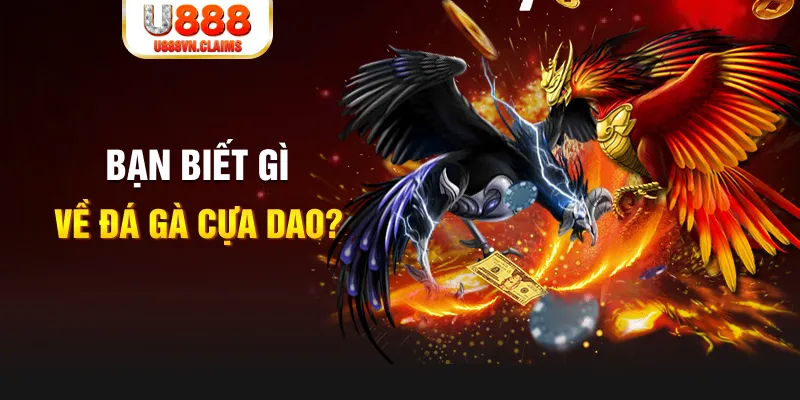 SW Xổ Số