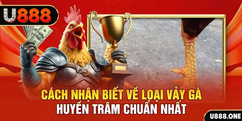 vnz66 đăng nhập nổ hũ số 1
