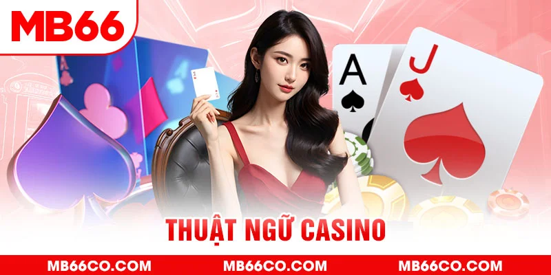 vnz66 gà chọi c1 mới nhất