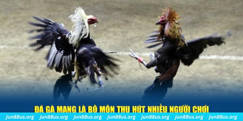 vnz66 nổ hủ nghĩa là gì