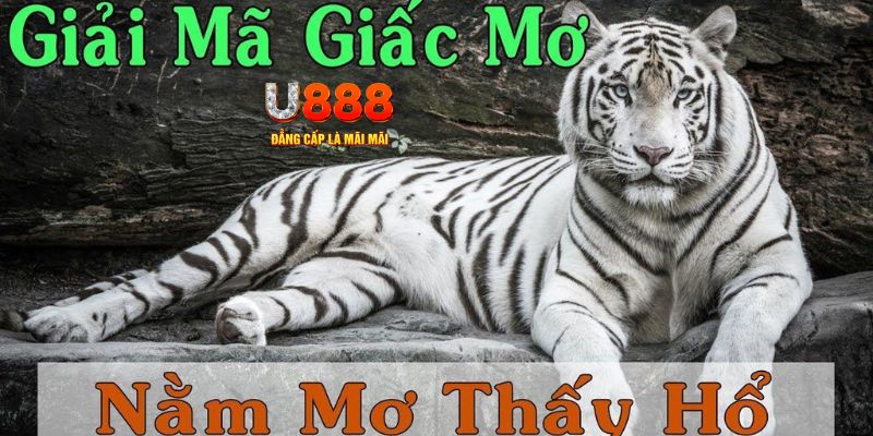 vnz66 xổ số miền bắc xổ số miền bắc