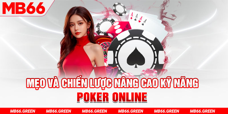 vnz66 chổi lông gà