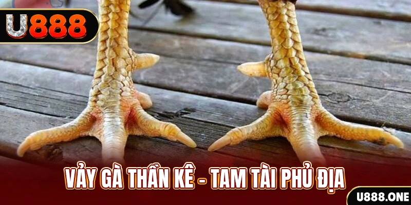 vnz66 xổ số miền trung thứ hai hàng tuần