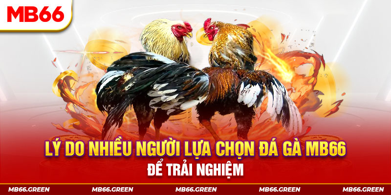 vnz66 đăng nhập liêng trực tiếp