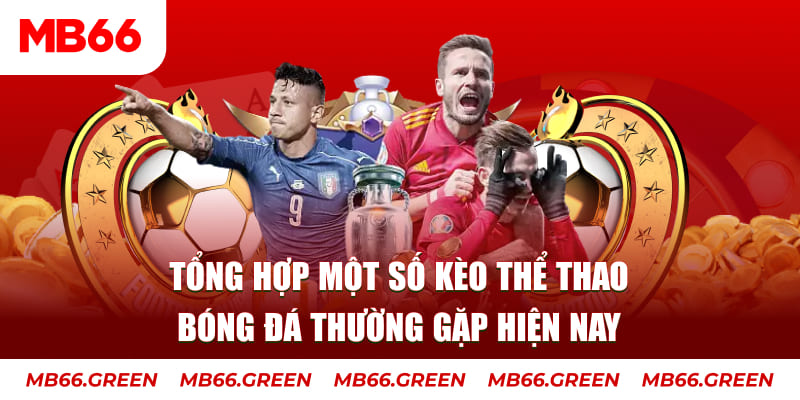 vnz66 người chia bài trong casino gọi là gì