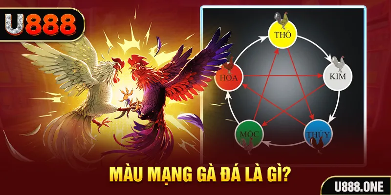 vnz66 xổ số miền trung thứ tư hàng tuần