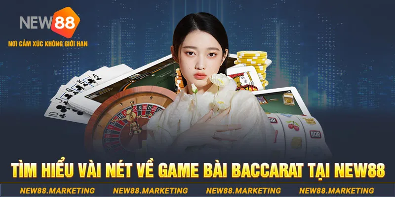 vnz66 gà chọi c1 ô taxi